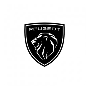 Centre Peugeot, Vienne